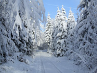 Ferienwohnung Das Traute Heim in Thiemitz