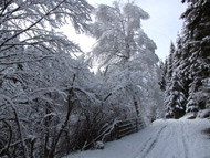 Ferienwohnung Das Traute Heim in Thiemitz