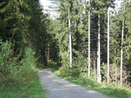 Ferienwohnung Das Traute Heim in Thiemitz