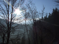 Ferienwohnung Das Traute Heim in Thiemitz