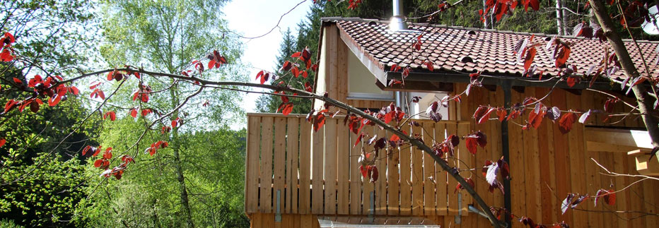 Das Traute Heim Boards