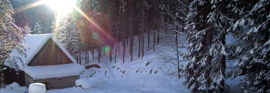 Das Traute Heim Boards